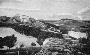 L'area de Is Mirrionis, luogo della scoperta