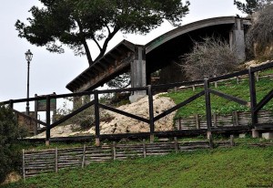 Parco_bonaria_verde_cagliari