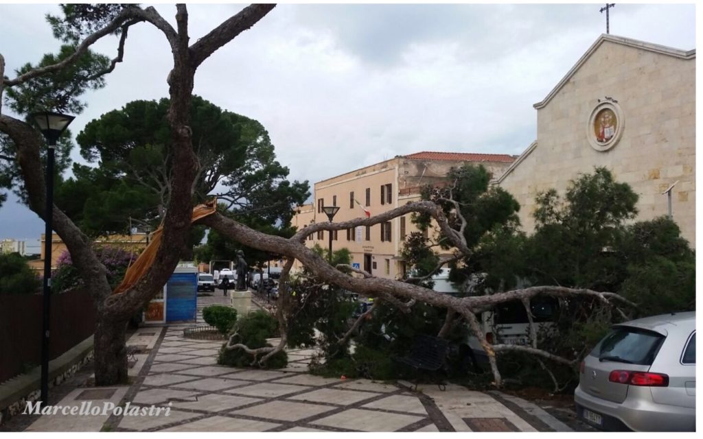 Albero spezzato cagliari tempesta